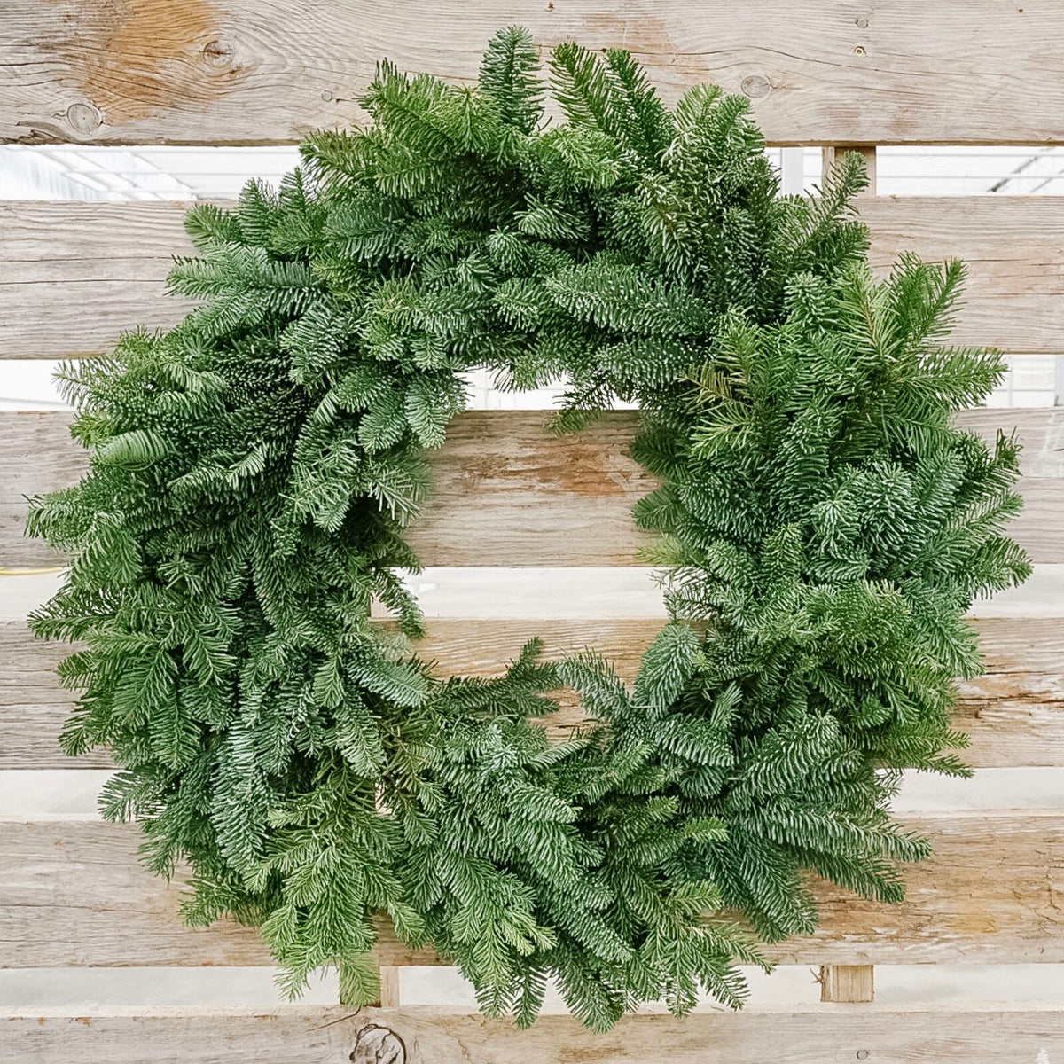 Noble Fir Wreath – Country Hills Golf Shop