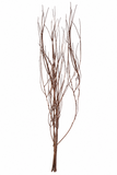 Branches - Medium Brown