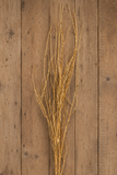 Branches - Medium Gold