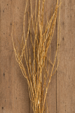 Branches - Medium Gold