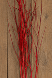 Branches - Medium Red Painted