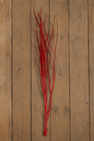 Branches - Medium Red Painted