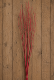 Branches - Medium Red Painted