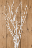 Branches - White Birch