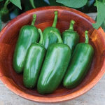 Peppers - Jalapeno