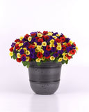 Petunia - E3 Easy Wave Blue