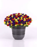 Petunia - E3 Easy Wave Red