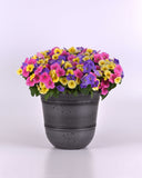 Petunia - E3 Easy Wave Sky Blue