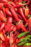 Peppers - Big Chile