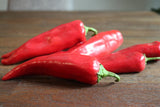 Peppers - Big Chile