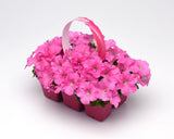 Petunia - E3 Easy Wave Pink