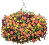 Petunia - Supertunia Persimmon