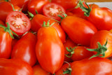 Tomato - Roma