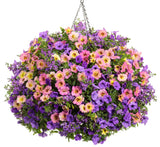 Petunia - Supertunia Mini Vista Indigo