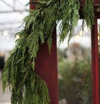 Red Cedar Garland
