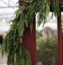 Red Cedar Garland