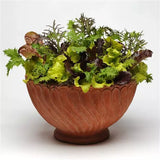 Lettuce - Simply Salad Mix