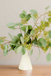 Eucalyptus - Seeded