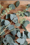 Eucalyptus - Seeded