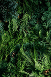Case of Mixed Greenery
