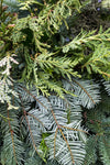 Case of Mixed Greenery