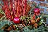 Dogwood - Medium Red Stems