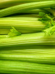 Celery - Tango